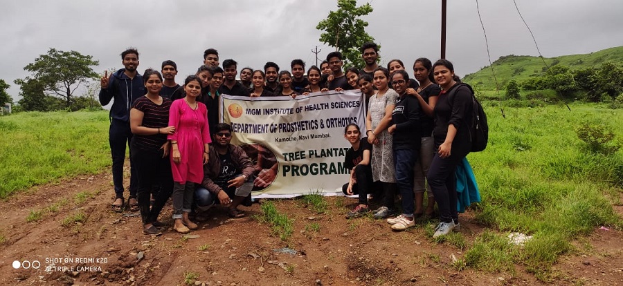 Tree plantation visit Images