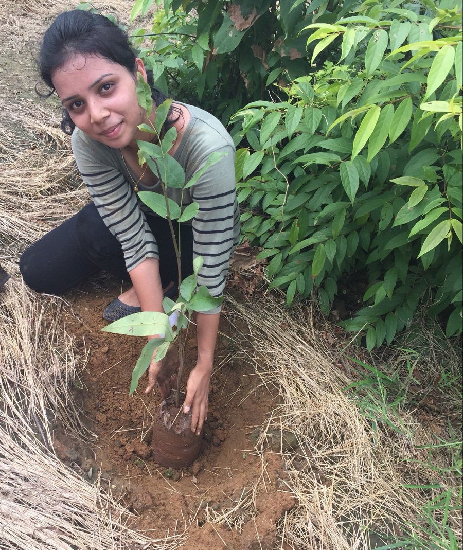 Tree plantation visit Images