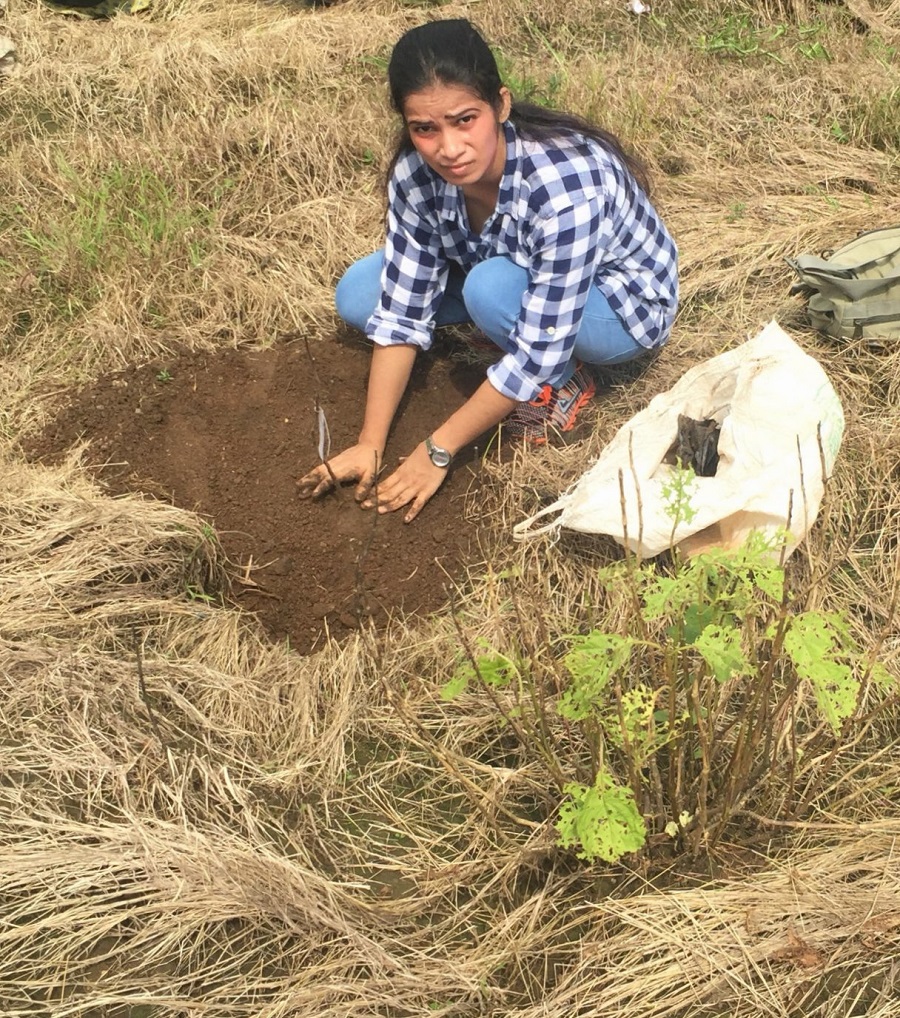 Tree plantation visit Images